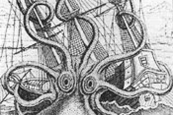 Kraken 19 at