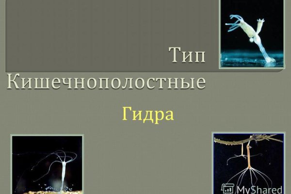 Кракен сайт продаж