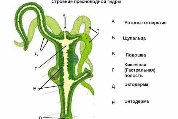 Почему кракен перестал работать