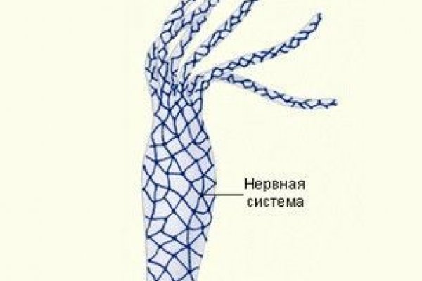 Kraken ссылка зеркало рабочее
